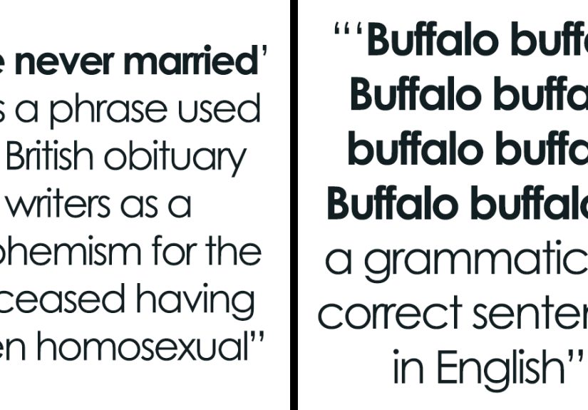 30 Best Examples Of The Weird Side Of Wikipedia