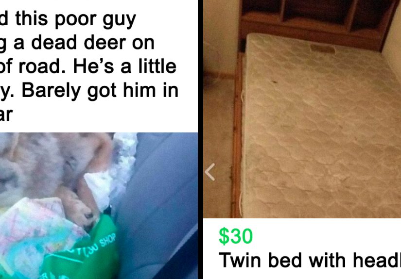 50 Times FB Marketplace Shined With The Most Unhinged Entries That People Just Had To Share