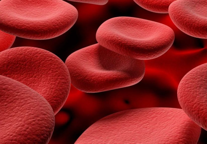 Cómo aumentar la hemoglobina: Alimentos y remedios caseros