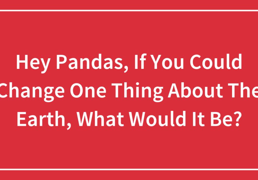 Hey Pandas, If You Could Change One Thing About The Earth, What Would It Be?