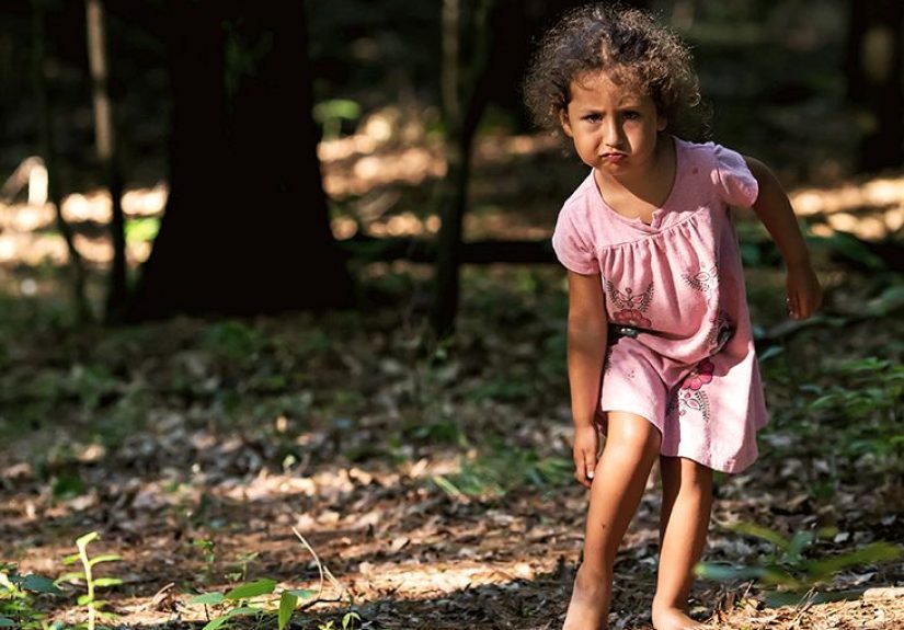 Identifying Bug Bites: Bed Bugs, Ticks, and More