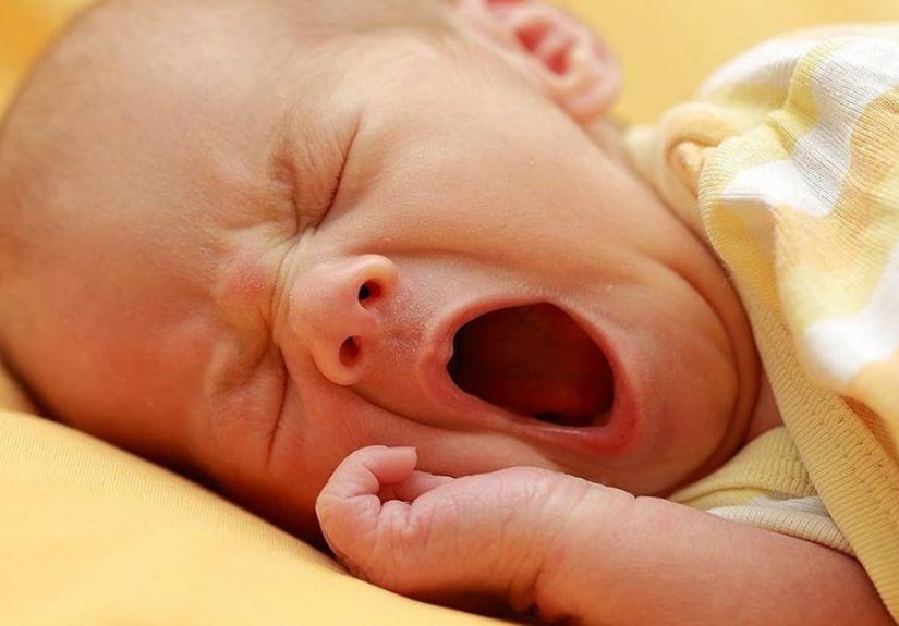 22 Surprising Facts About Yawning You Probably Didn't Know