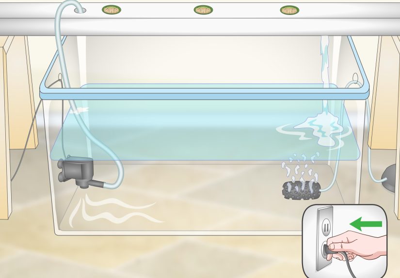 3 Ways to Build a Homemade Hydroponics System