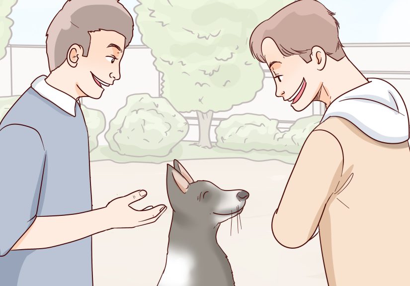 3 Ways to Calm an Aggressive Dog