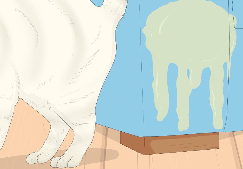 3 Ways to Prevent Cats from Urinating on Carpet
