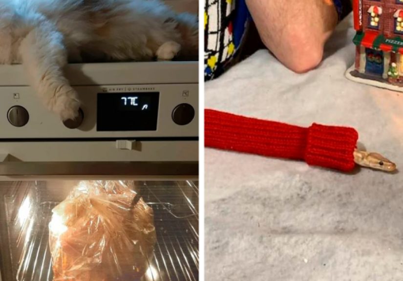 50 Times Pets Made Christmas A Holiday To Remember, For Better Or Worse