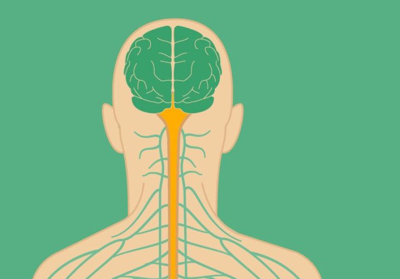 7 Pictures of Multiple Sclerosis: How MS Affects Your Brain
