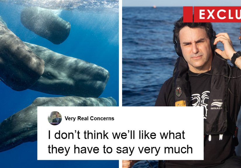 AI Is Translating Whale Language, Which May Help Us Communicate With Extraterrestrials One Day