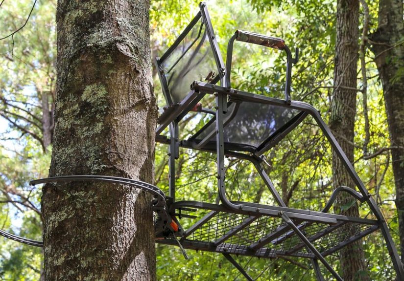 Best Ladder Stands