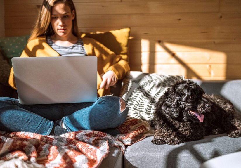 Can Fleas Bite Through Clothing? Plus Best Prevention Strategies