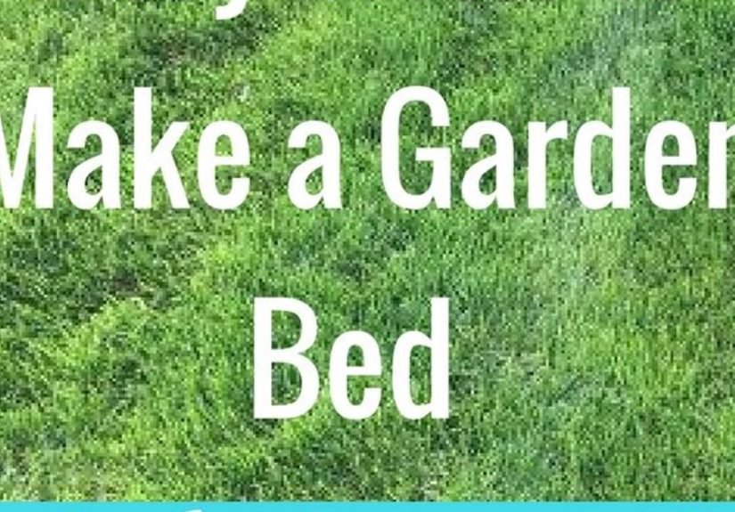Chemical Free Garden Bed Starters