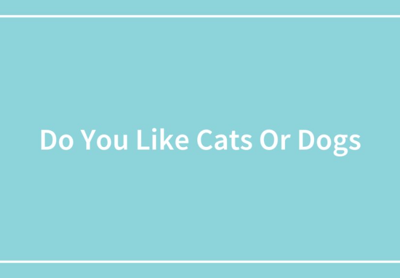 Do You Like Cats Or Dogs