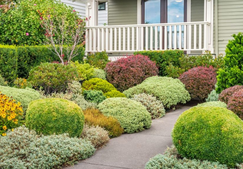 Easy Landscaping Ideas to Increase Your Home Value
