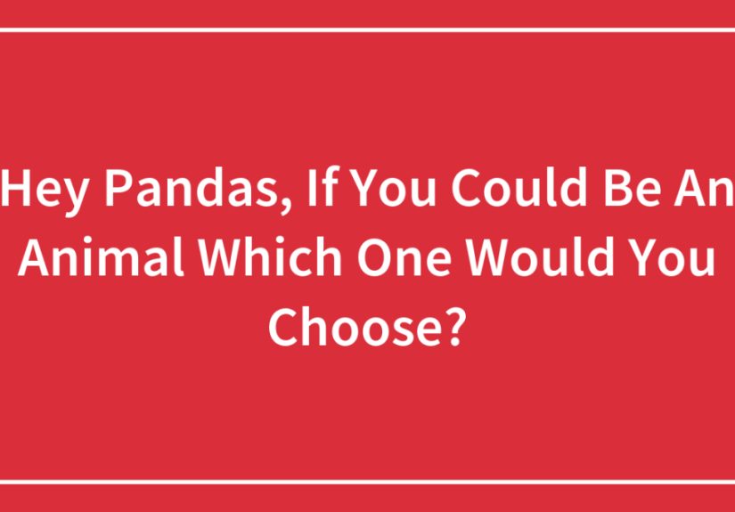 Hey Pandas, If You Could Be An Animal Which One Would You Choose? (Closed)