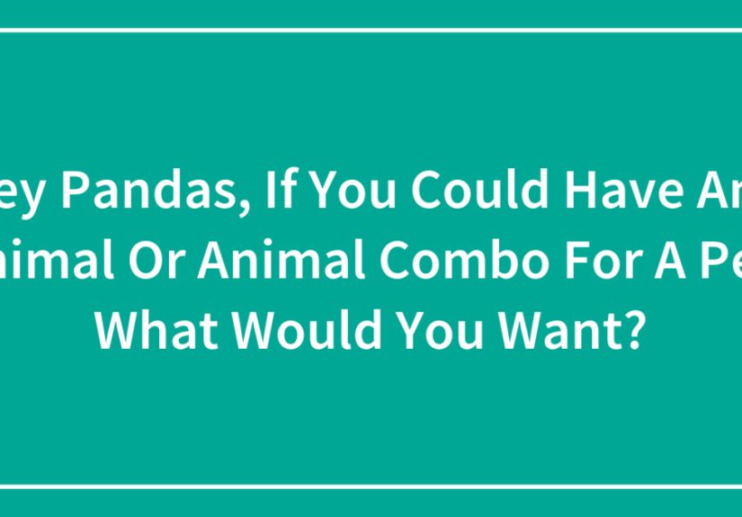 Hey Pandas, If You Could Have Any Animal Or Animal Combo For A Pet, What Would You Want? (Closed)