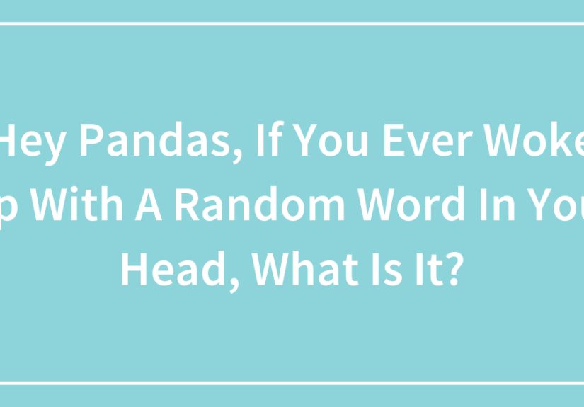 Hey Pandas, If You Ever Woke Up With A Random Word In Your Head, What Is It?