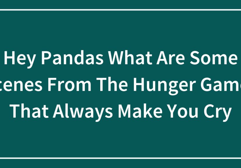 Hey Pandas What Are Some Scenes From The Hunger Games That Always Make You Cry (Closed)