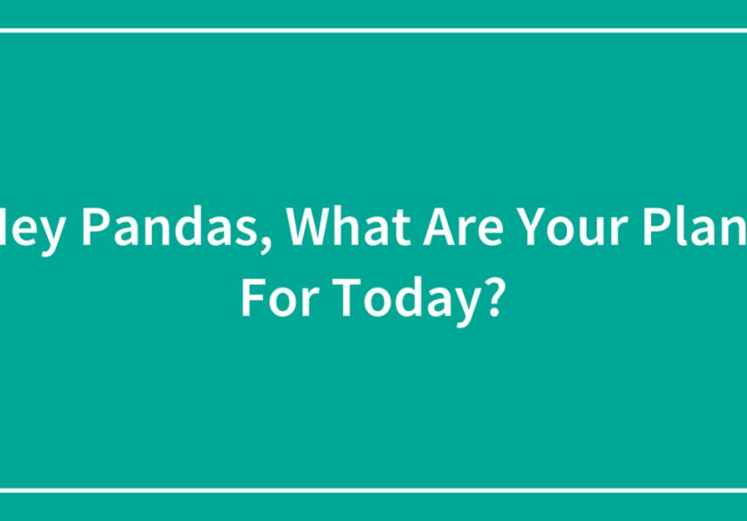 Hey Pandas, What Are Your Plans For Today? (Closed)
