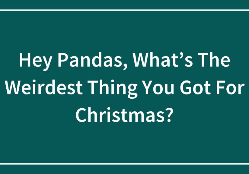 Hey Pandas, What’s The Weirdest Thing You Got For Christmas? (Closed)