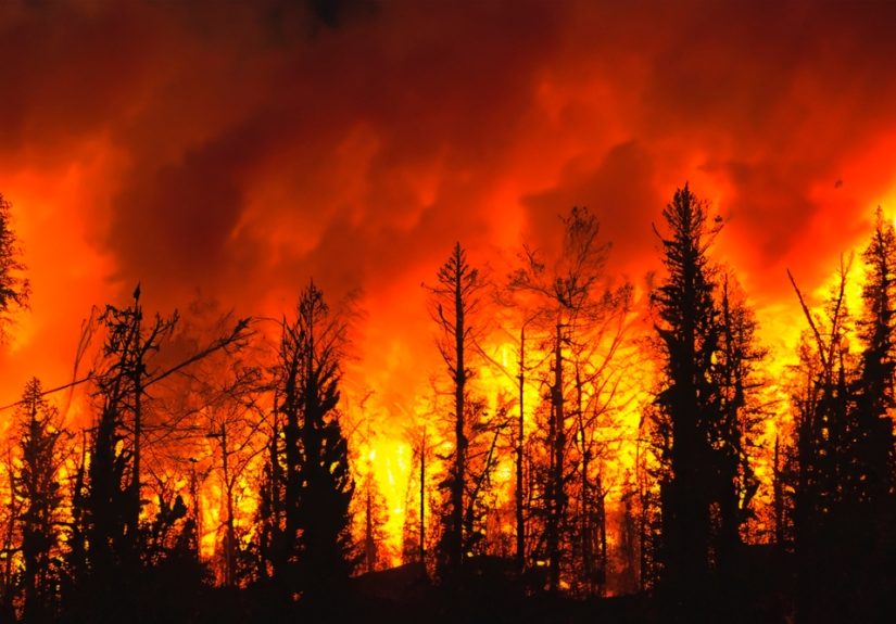 How Natural Disasters Reveal Resilience and the Power of Community