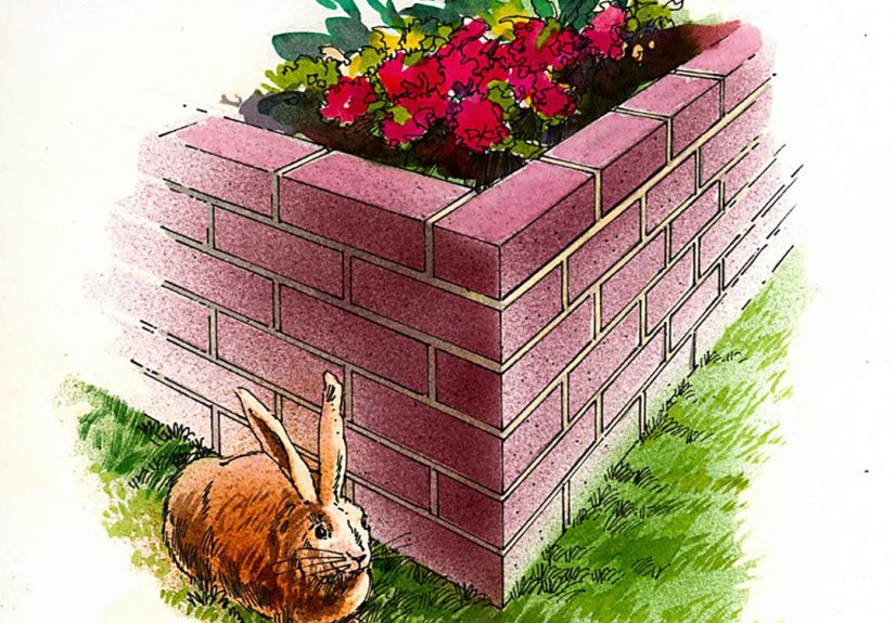 How to Build a Brick Raised Bed