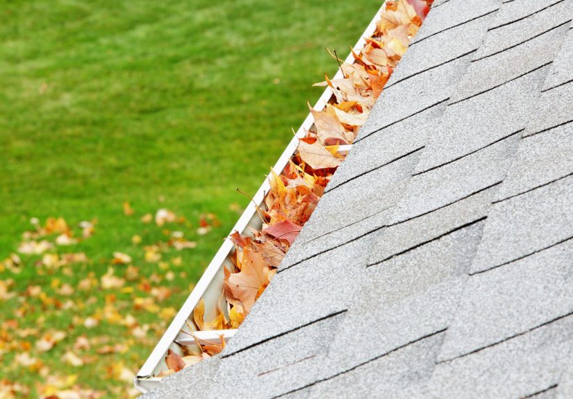 How to Clean Gutters from the Ground: Tools, Tips, and What to Know