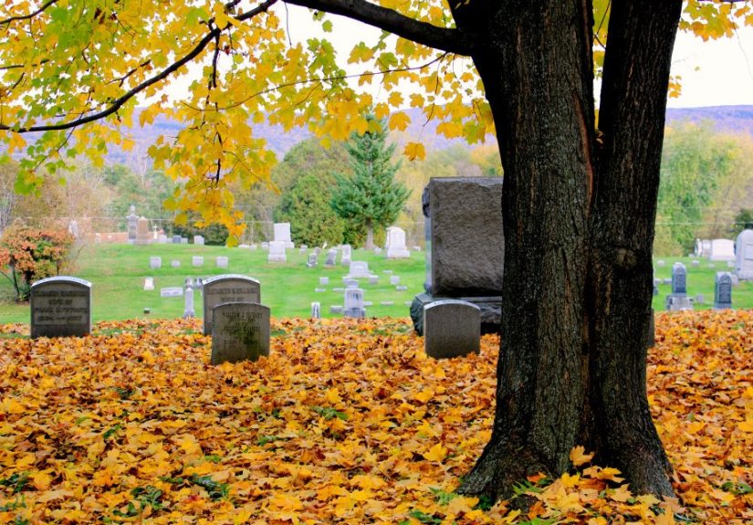 I Love The Somber Beauty Of Cemeteries.