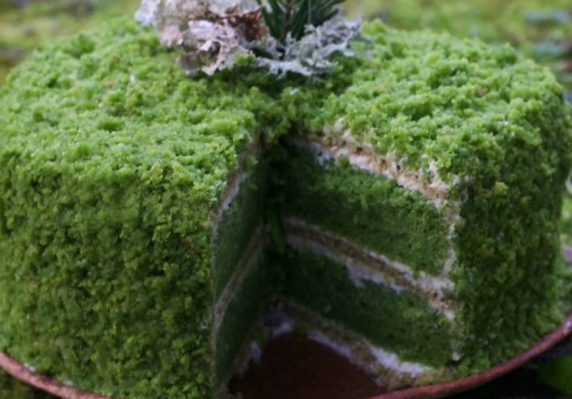 I Make “Trick Of The Eye” Foods That Are Entirely Edible And Nature-Inspired, Here Are 30 Of The Best