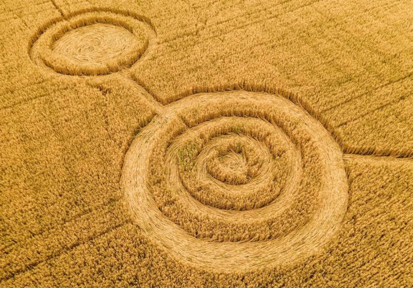 If You See Crop Circles, Here's What It Actually Means (Spoiler: It's NOT Aliens)