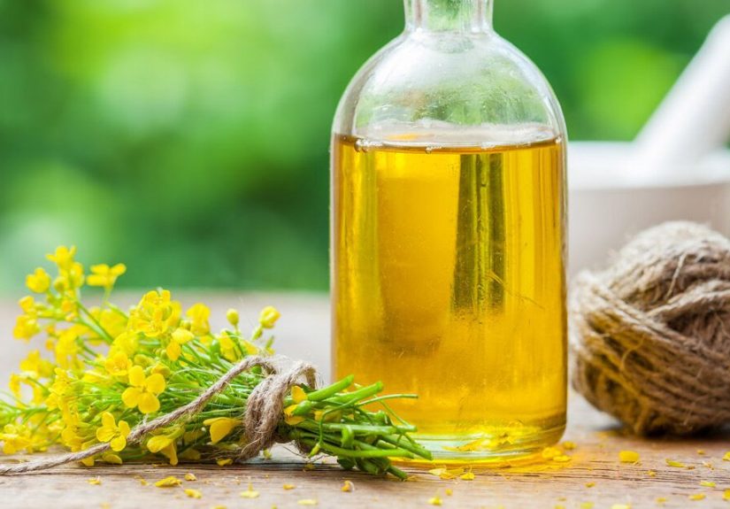 Is Canola Oil Good for You, or Bad?