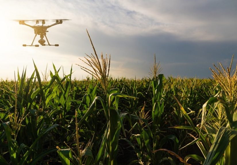Precision Agriculture Bolsters Crop Insurance but Many Challenges Remain - IA Magazine