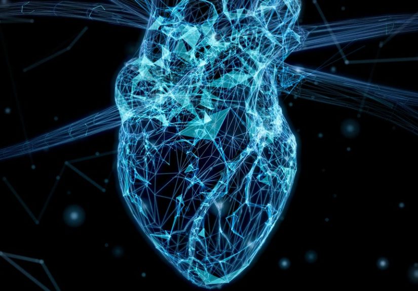 Scientists Use Synthetic Blood to Revive Dead Organs, Redefining Death’s Boundary