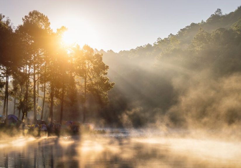 Tips for Healthy Grieving: Your Journey Is Valid