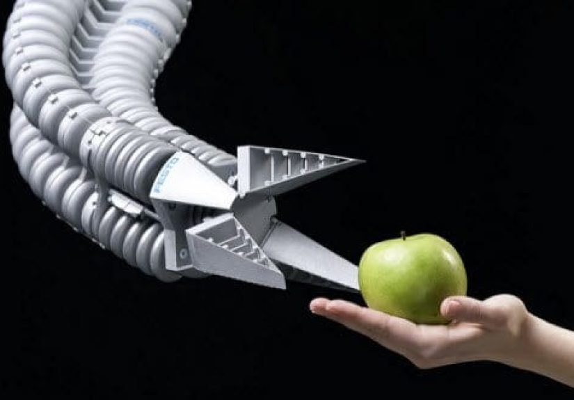 10 Incredible Inventions Inspired By Plants And Animals