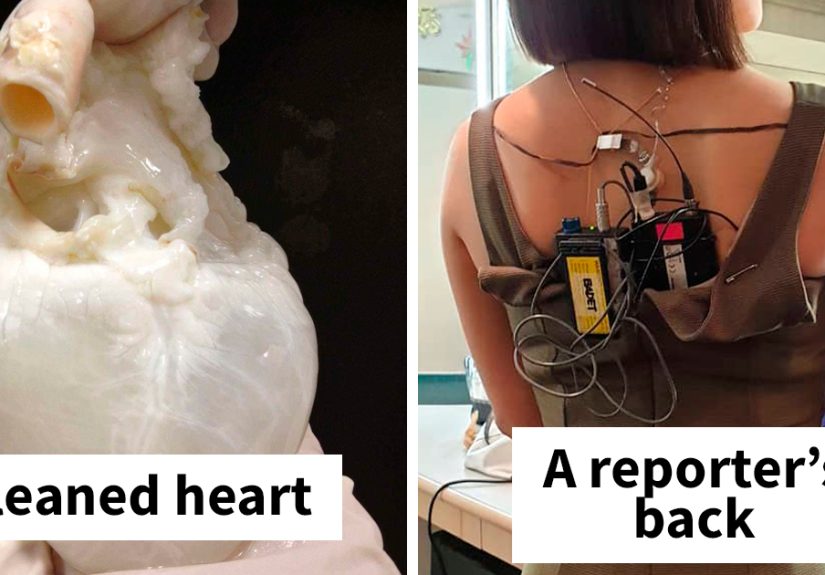 30 Rare Photos That Reveal The Unseen Side Of Things