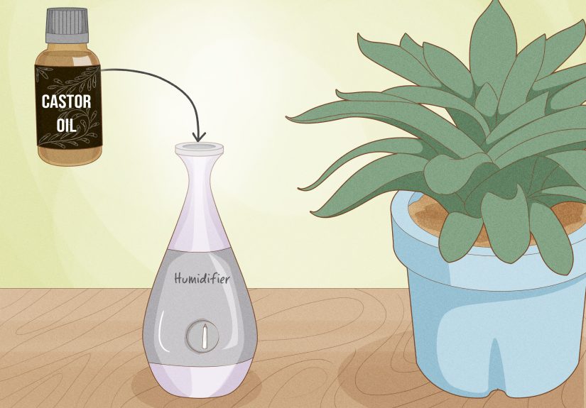 4 Ways to Use Castor Oil As an Insect Repellent