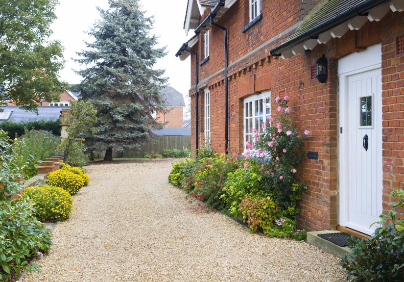 8 Shrubs You Should Never Plant Near Your House  They Can Cause Major Damage