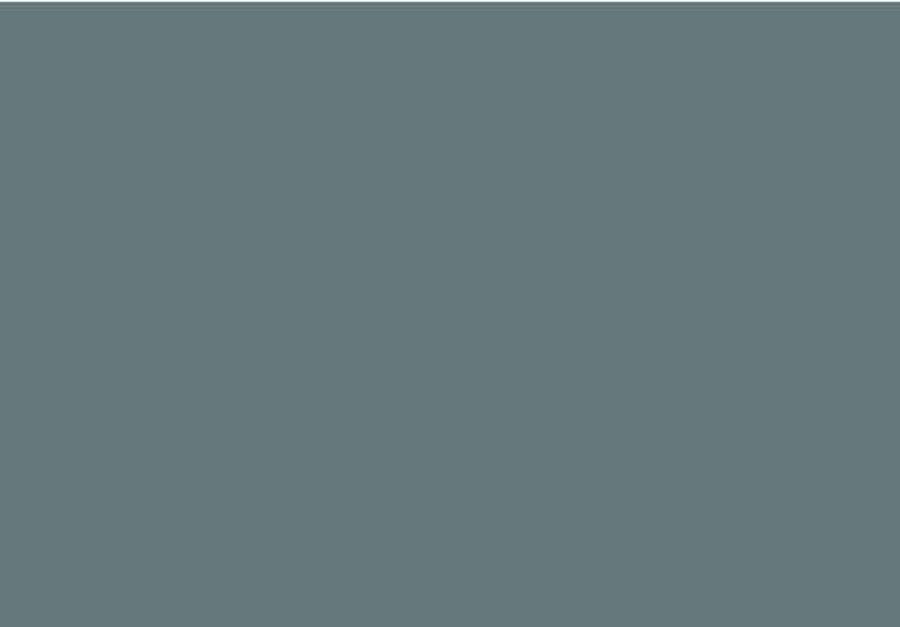 Charlotte Slate AC-24 Paint
