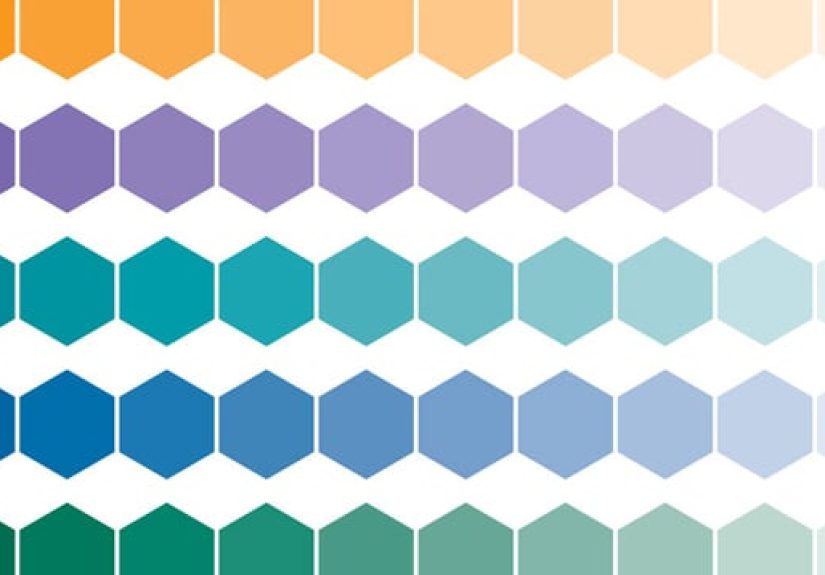 Color Palatte Tool!