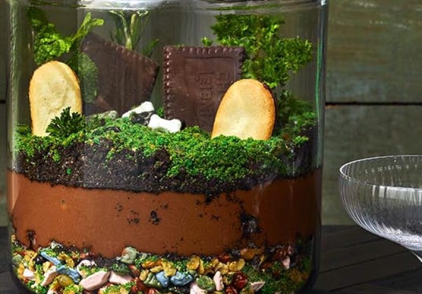 Dirt Pudding Terranium Recipe - How to Make Dirt Pudding