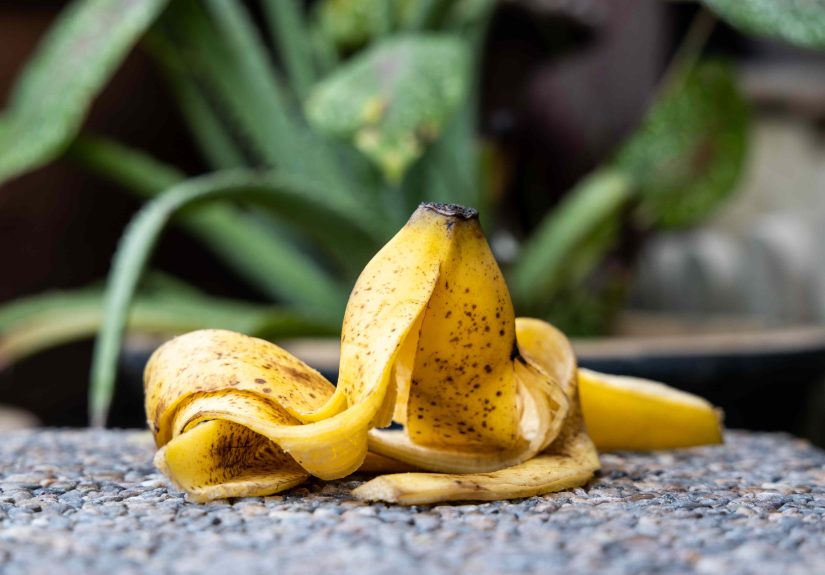 Do Banana Peels Actually Help Fertilize Your Roses? We Asked a Rose Expert