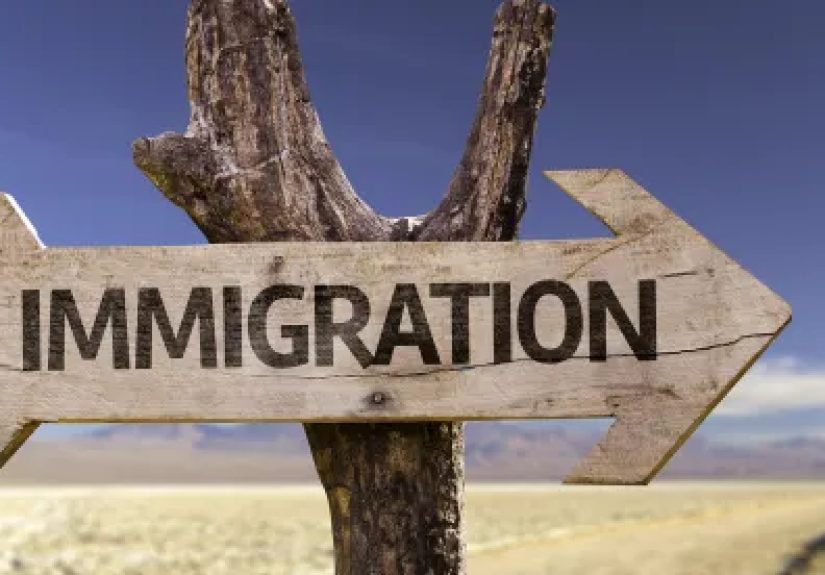 Dynamic Landscape of Global Mobility and Employee Immigration