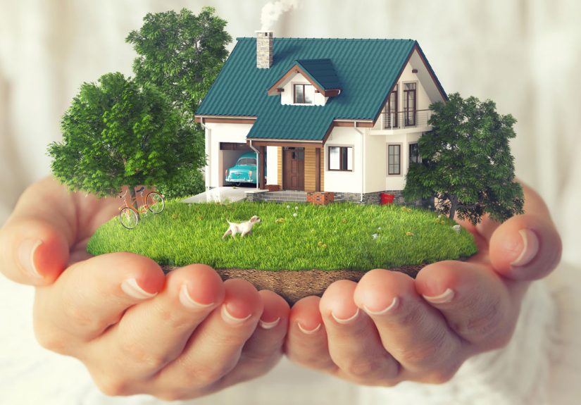Essential Home And Garden