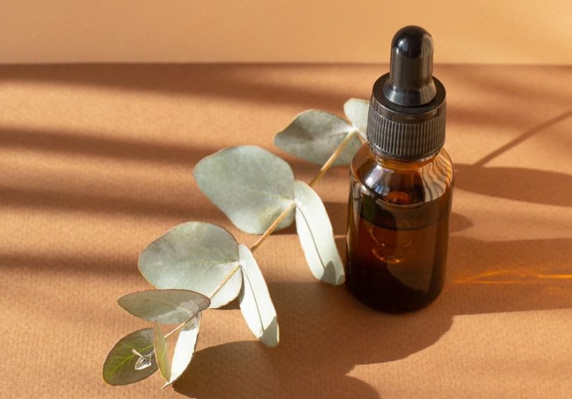 Eucalyptus Oil: Possible Health Benefits and Research