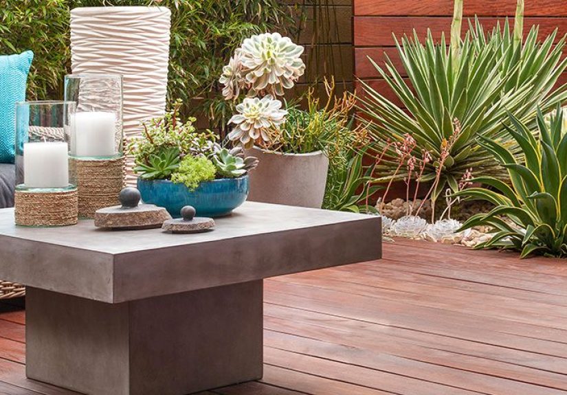 Gardening Trends