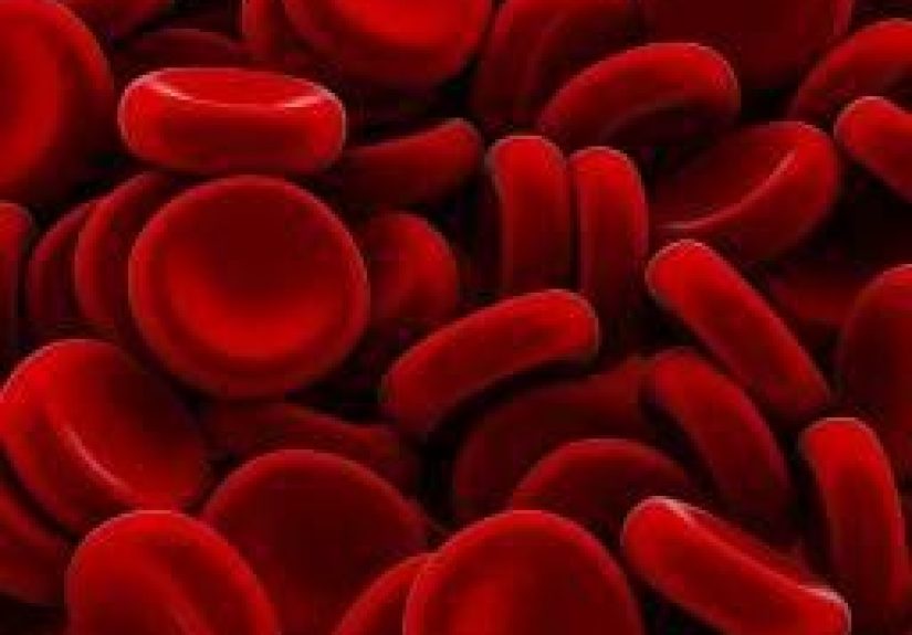Hematopoiesis: Definition, where it occurs, process, and types
