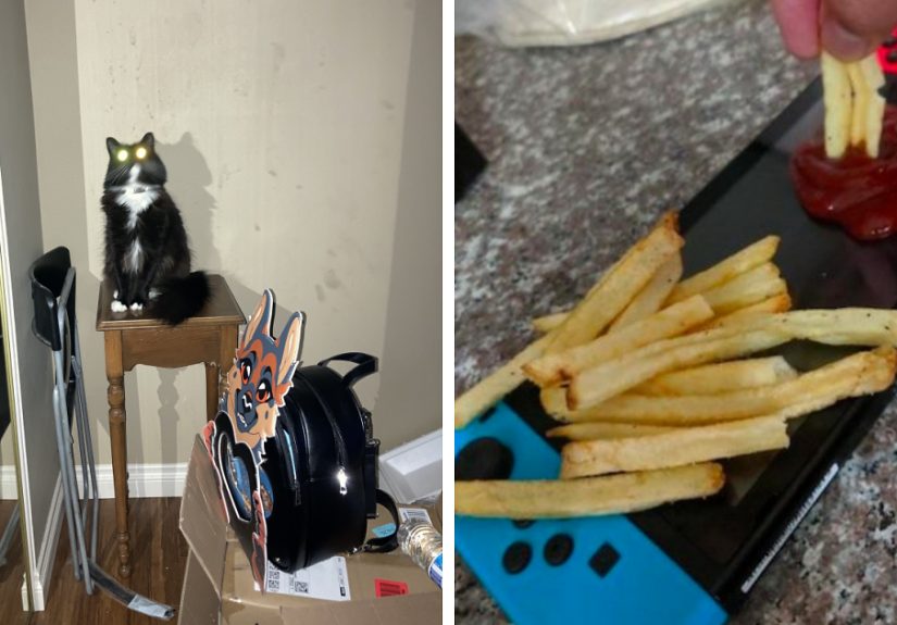 Hey Pandas, Post The Most Cursed Image You Can Find