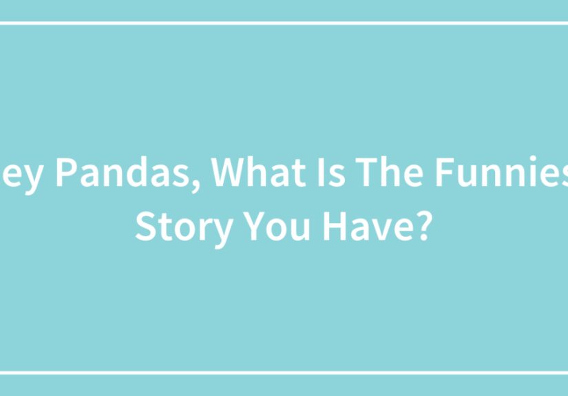 Hey Pandas, What Is The Funniest Story You Have? (Closed)