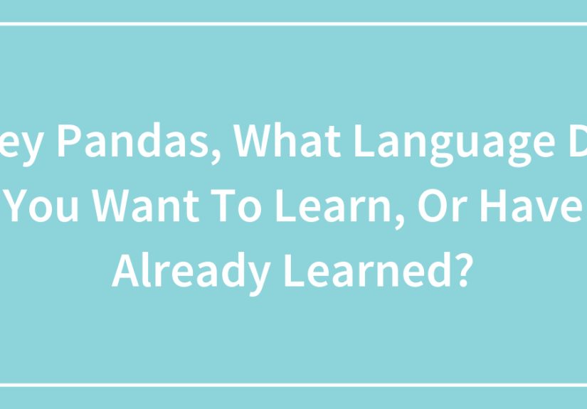 Hey Pandas, What Language Do You Want To Learn, Or Have Already Learned?