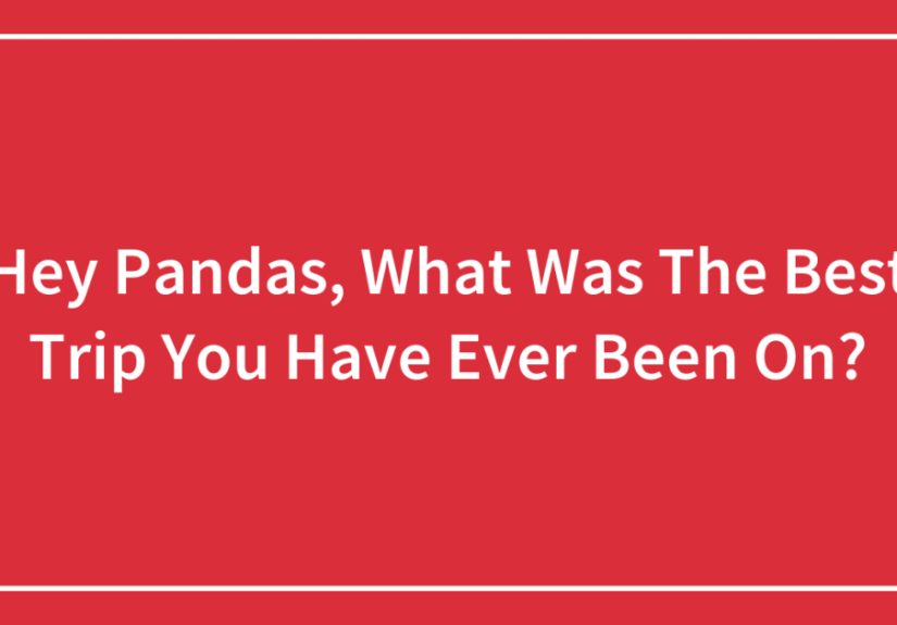 Hey Pandas, What Was The Best Trip You Have Ever Been On?